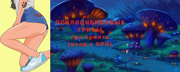 прущие крисы Абинск