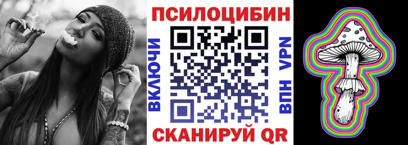 Псилоцибиновые грибы мицелий  ОМГ ОМГ как войти  Каменка 